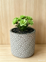 Jardinières en ciment à motif diamant - Pots de fleurs brillants pour la décoration intérieure (vente en gros)