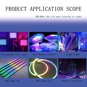 Nhà Máy Tùy Chỉnh 5050Rgbww Năm Trong Một SMD <span class=keywords><strong>LED</strong></span> <span class=keywords><strong>1W</strong></span> 0.5W Với Tích Cực Trắng Ấm Màu Đỏ Màu Xanh Lá Cây Màu Xanh & Rgbcw - Product Image 6