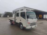 Camion de faible puissance JAC 4x2 Van Truck Double Cab simple à expédition rapide