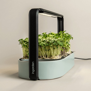 Microgreen Indoor Smart Led il tuo Kit giardino microgreen semi kit di coltivazione biologica microgreens kit per giardini di raccolta - Product Image 4