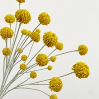 Kunstmatige 4-koppige gouden balvormige vrucht, fris en elegant decor voor de woonkamer, thuiskantoor, landschapsontwerp