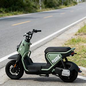Bicicleta Eléctrica de 1000W 48V/72V para Adultos, Motor Trasero sin Escobillas de 3 Velocidades, Alta Velocidad (30-50 km/h), Batería de Plomo-Ácido, 50 km de Autonomía, Acero al Carbono, Digital - Product Image 4