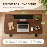 Escritorio Eléctrico Ajustable en Altura de Alta Calidad Personalizado, Mesa de Oficina Ergonómica de 120x60cm con Controlador de Memoria
