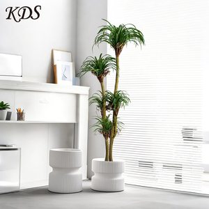 Simular plantas verdes sensación avanzada dragón sangre árbol Tropical Pseudo plantas Agave plantas en maceta Sisal cáñamo <span class=keywords><strong>Cola</strong></span> <span class=keywords><strong>de</strong></span> <span class=keywords><strong>Caballo</strong></span> hierro - Product Image 5