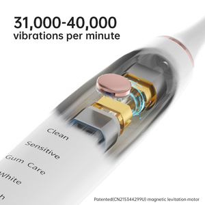 מברשת שיניים חשמלית סוניק סיטונאית, נטענת ב-USB, למבוגרים, לניקוי שיניים עדין והיגיינת פה - Product Image 4