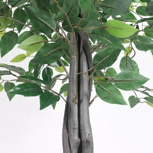 Sıcak satış plastik simülasyon ev yapay <span class=keywords><strong>bonsai</strong></span> ağaçları bitki gerçek dokunmatik <span class=keywords><strong>ficus</strong></span> plastik pot 5789 - Product Image 3