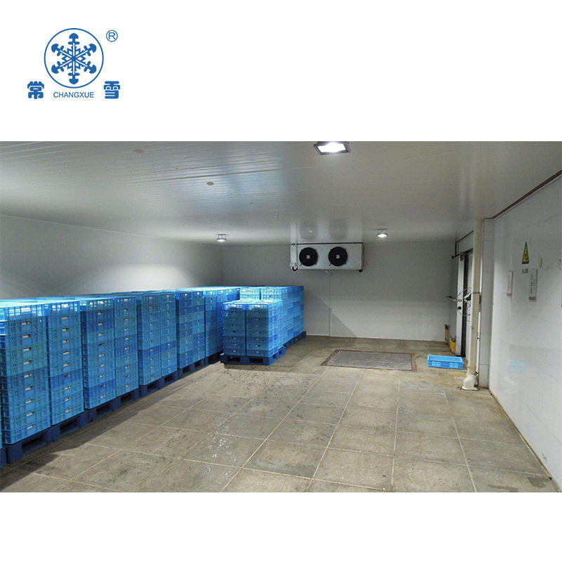 Refrigerated Cold Storage for Fruit & Vegetable Storage