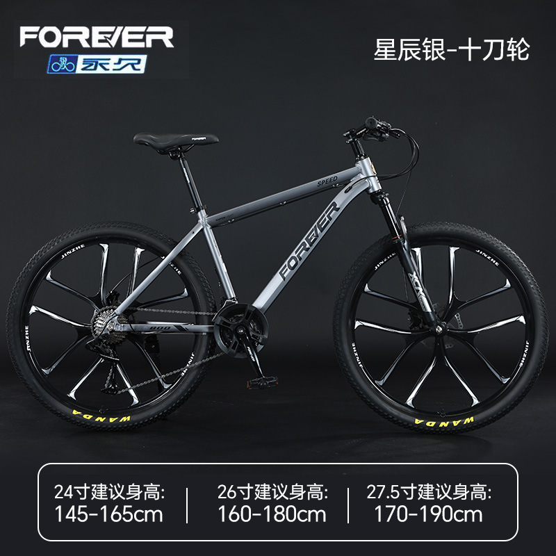 Steel Frame - Ten-Blade Wheel - Star Silver [24 Speed]