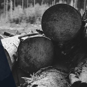 Groothandel Hoge Kwaliteit Batterij Werkende <span class=keywords><strong>Mini</strong></span> Draadloze Laser Jig Zaagmolen Boor 12V Decoupeerzaag Voor Marmer Snijden - Product Image 2