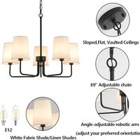 Lampe suspendue pour salon, luminaire suspendu pour îlot de cuisine, éclairage de restaurant, design de luminaire suspendu, lustre pour salon