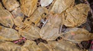 Pescado seco de Vietnam - Product Image 6