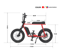 Mario Legal Vélo électrique 20 pouces à gros pneus avec moteur de moyeu Bafang 250W