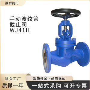 Válvula de Globo de Acero Fundido WJ41H DN65 con Conexión de Brida para Corte de Agua - Product Image 4