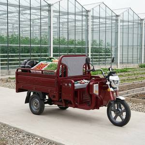 Triciclo Eléctrico de 800W 60V40AH, Motocicleta de Carga de 3 Ruedas para Adultos, Alta Capacidad de Carga, Largo Alcance, Neumáticos de Alta Adherencia, E-Trike - Product Image 3