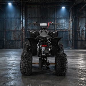 <span class=keywords><strong>Quad</strong></span> tout-terrain 125 cm³ 4 temps refroidi par air avec démarreur électrique certifié CE pour jeunes - Product Image 2