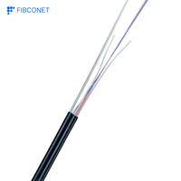 Câble de raccordement optique FTTH GJYXCH 1xG.657A1 de haute qualité, personnalisé, 1 ou 2 fibres, LC-LC, SC-SC