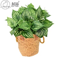 Feuillage artificiel de Peperomia Melon d'eau en brins pour la décoration murale végétale et les arrangements en pot