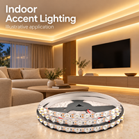 Bande LED 24V 2835 avec lentille, 48 LED par mètre, 19W par mètre, options monochromes pour projets d'éclairage intérieur