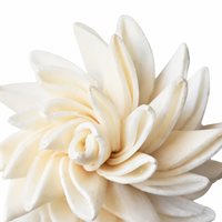 Fleur de chrysanthème en bois de Sola de 1,6 pouce, faite à la main, séchée, pour décoration intérieure, mariage et Noël