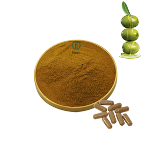 Suplemento orgánico de hidroxitirosol al mejor precio 10% 40% Extracto de hoja de olivo Hidroxitirosol en polvo - Product Image 2