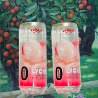 Boissons gazeuses sans sucre aux saveurs de fruits, faibles en calories, rafraîchissantes pour l'été, vente en gros, directement du fabricant