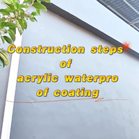 Peinture murale extérieure LOUISLONG en acrylique imperméable, résistante aux UV, membrane liquide d'étanchéité pour toiture, application au pinceau