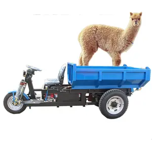 Construction Electric Tricycle Cargo Mini Dumper/HS180 Electric Cargo Tricycle Mini Dumper Truck