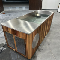 Baignoire de récupération commerciale tout-en-un en acier inoxydable Himalaya IceTech Factory OEM 1.5HP 2HP avec désinfection à l'ozone pour salle de sport