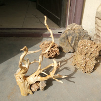 Décoration d'aquarium en bois : sélection de racines de rhododendron pour aménagement aquatique