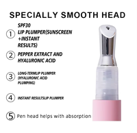 2024 NOUVEAU Repulpeur et Combleur de Lèvres Personnalisé 2ml, Huile-Gloss Cosmétique à Torsion
