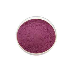 Suministro de Extracto de Morera de Alta Calidad / Polvo de Morera Morus Alba L. (Fam. Moracáceas) Moraceae) - Product Image 3