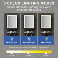 Miroir de douche LED sans buée avec éclairage carré noir anti-buée éclairé avec logo personnalisé pour le rasage