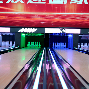 Latest Themed Indoor Sports and Entertainment <strong>Bowling</strong> Machine Cricket <strong>Bowling</strong> Complet 10 Pistes - Product Image 6