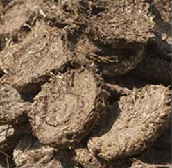 Mini <span class=keywords><strong>Molino</strong></span> de Martillos Portátil con Motor Diésel, Trituradora Móvil a Pequeña Escala para Carbón, Vidrio, Oro, Roca, Precio de Máquina Trituradora de Piedra - Product Image 4