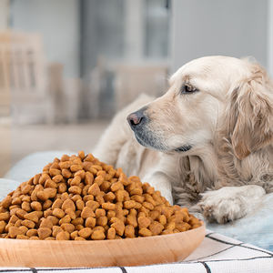 למעלה להתרבות זוכה בתוספת מתקדם חדש בריא חכם לב אוויר מיובש valu פאק ויקטור פרו כלב מזון 5kg - Product Image 3