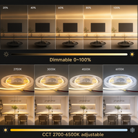 Bande LED DC12V double CCT pour armoire, 480 LED/m, sans soudure, PCB 6,6 mm, 14W/m, découpable 12,5 mm, 5M 50M, éclairage LED décoratif
