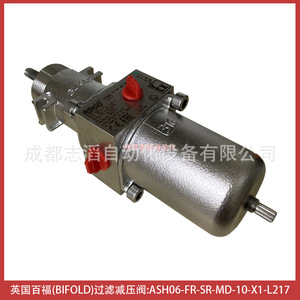 Vanne de réduction de pression à filtre double pliante Ash06-Fr-Sr-Md-10-X1-L217 1/2 pouce pour gaz et pneumatique - Product Image 5