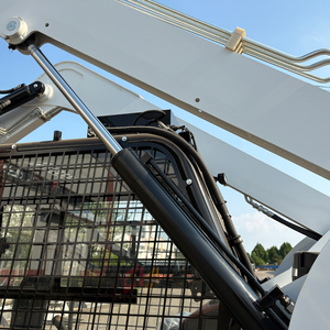 Chuyên nghiệp DIESEL Mini <span class=keywords><strong>Skid</strong></span> chỉ đạo bánh xe và theo dõi <span class=keywords><strong>loader</strong></span> nhanh chóng vận chuyển Giá cả phải chăng giá - Product Image 4