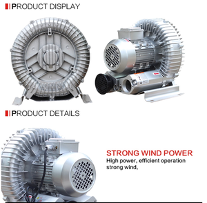 ไฟฟ้าแรงดันสูงปั๊มสำหรับ<span class=keywords><strong>สระ</strong></span>ว่าย<span class=keywords><strong>น้ำ</strong></span> Air Blower ปั๊มเป่า<span class=keywords><strong>ลม</strong></span>อุปกรณ์ - Product Image 3