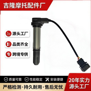 Bobine d'allumage Jilong 3122, 2 cylindres, pour moto Huanglong 600, pièce de rechange - Product Image 5