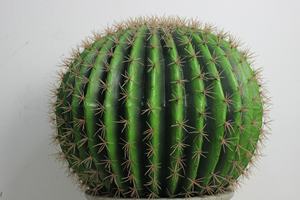 Vente Flash Faux <span class=keywords><strong>Cactus</strong></span> Artificiel en Pot, Balle de Succulentes Très Réalistes, Bonsaï, <span class=keywords><strong>Prix</strong></span> Usine, Plante Fictive pour Décoration Extérieure - Product Image 4