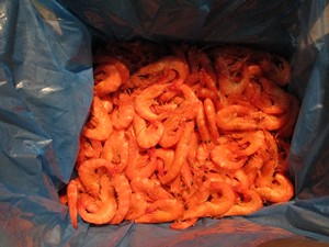 Proveedor de China, venta al por mayor de <span class=keywords><strong>mariscos</strong></span>, <span class=keywords><strong>camarones</strong></span> Vannamei cocidos congelados - Product Image 2