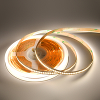Bande lumineuse à LED super haute luminosité 200LM/W DC24V 234LEDs/M FLEx 24V 2700K 3000K