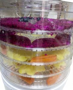 Déshydrateur alimentaire professionnel à 5 plateaux avec cuve sous pression, garantie 1 an - Séchage efficace pour fruits, légumes et purées - Product Image 5