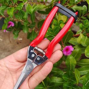 กรรไกรตัดกิ่งฮิไซจิโร่ ใบมีดสแตนเลส 1.5 มม. ด้ามจับสีแดง โครงสร้างแบบผีเสื้อ ใช้สำหรับตัดแต่งสวน ต้นไม้ผลไม้ - Product Image 3