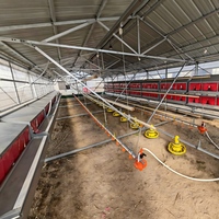 Poulailler mobile pour poulets de chair avec roues, système d'alimentation et d'abreuvement automatique, rotation des enclos, garantie 1 an