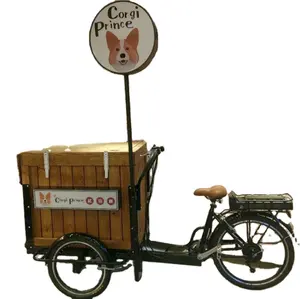 2024 Personalización profesional con bicicleta eléctrica de 3 ruedas Carrito de comida Fabricante Carrito de comida callejera para la venta