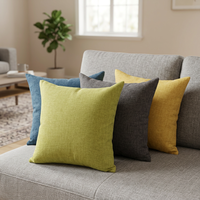 Coussin de canapé personnalisé avec logo, coussin décoratif doux, housse de coussin carrée pour la maison et la chambre