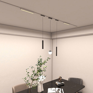 Système d'éclairage sur rail magnétique DC48V en gros et au détail, rail magnétique noir et blanc, éclairage sur rail magnétique LED pour musées de luxe - Product Image 6