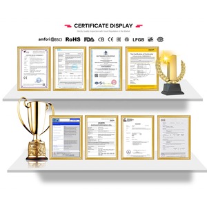 Hiệu suất cao 250 Wát năng suất cao chuyên nghiệp <span class=keywords><strong>Orange</strong></span> citrus chậm Masticating Máy ép trái cây máy thương mại Báo Chí lạnh máy ép trái cây - Product Image 6